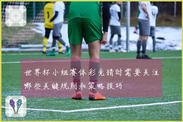 世界杯小组赛体彩竞猜时需要关注哪些关键规则和策略技巧